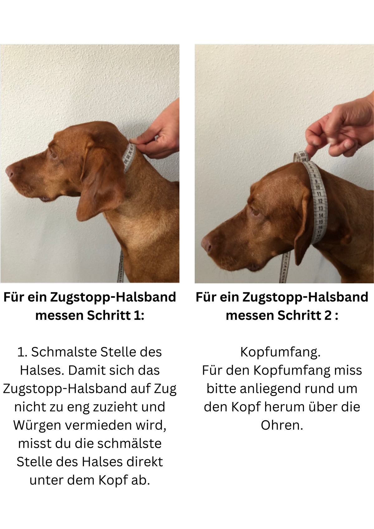 Hundeloop – individueller Loop für Hunde
