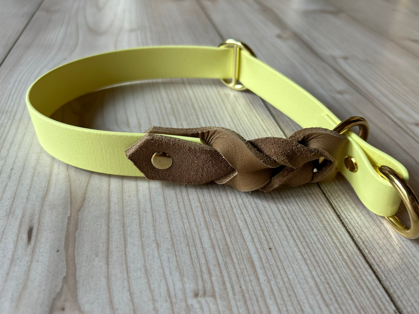 Biothane trifft Leder Zugstopp-Halsband mit Kurzführer