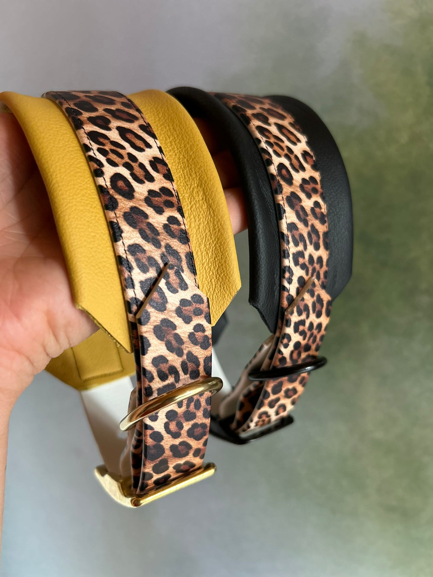 SoftGuard Halsband und Leine mit bedruckter Biothane