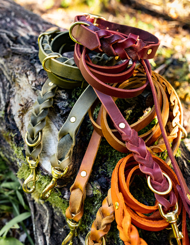 Halsband & Leinen-Sets