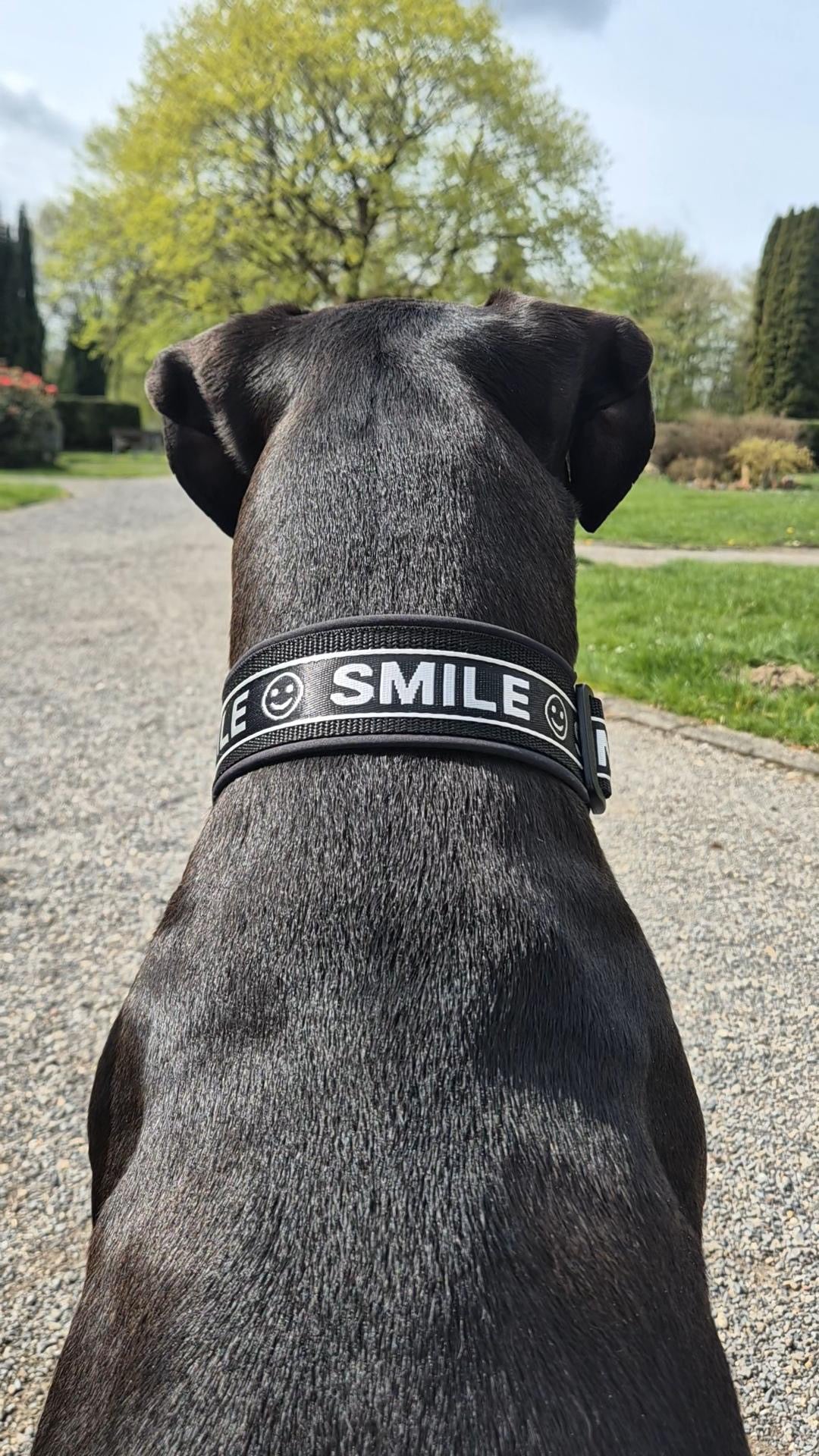Gepolstertes Hundehalsband SMILE verstellbar