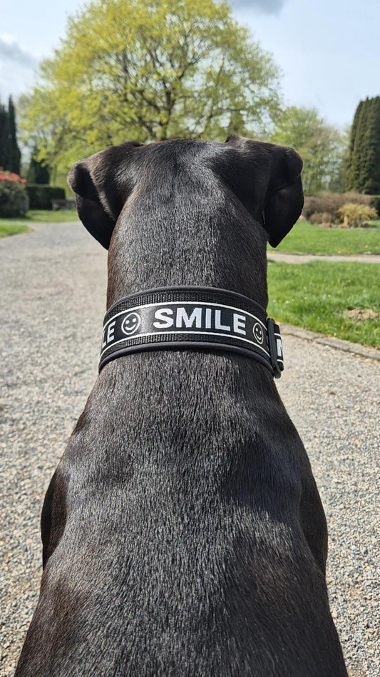 Gepolstertes Hundehalsband SMILE verstellbar