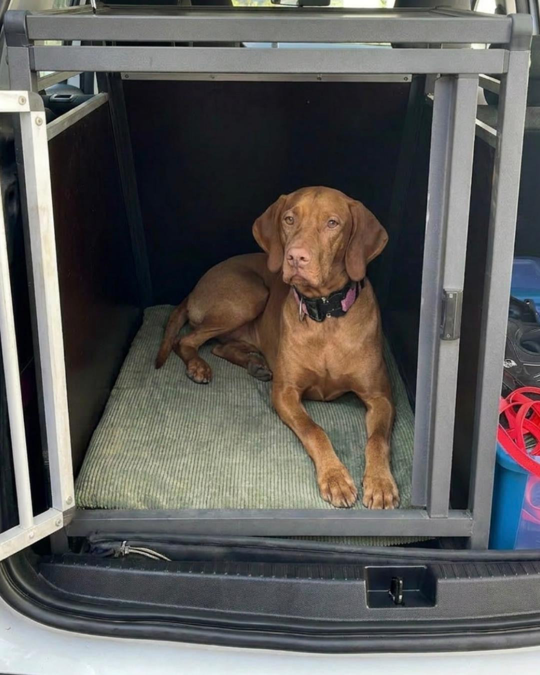 Gepolsterte Transportboxendecke nach Maß für Hunde