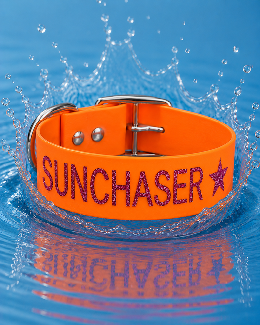 Personalisiertes Hundehalsband BioThane®