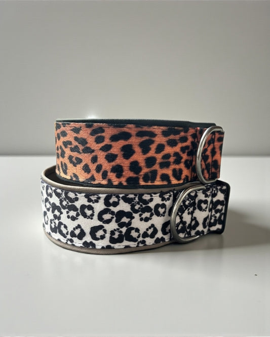 Halsband Leopard