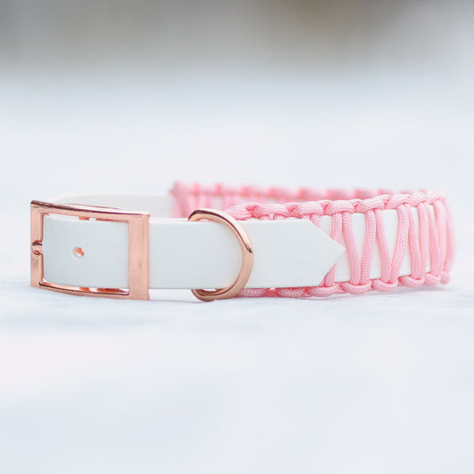 Halsband aus Biothane-Paracord