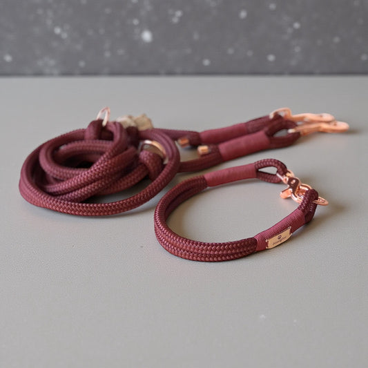 Individuelles Tauhalsband & Leine