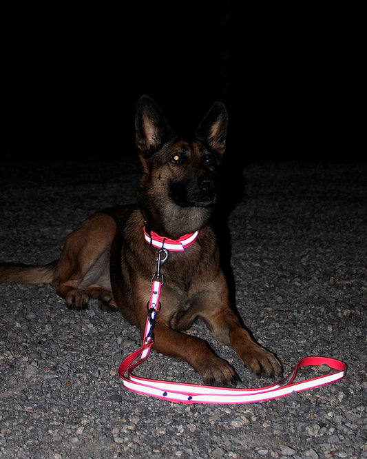 Neon Halsband-Leinenset Die Original beautytau LightLine Kollektion