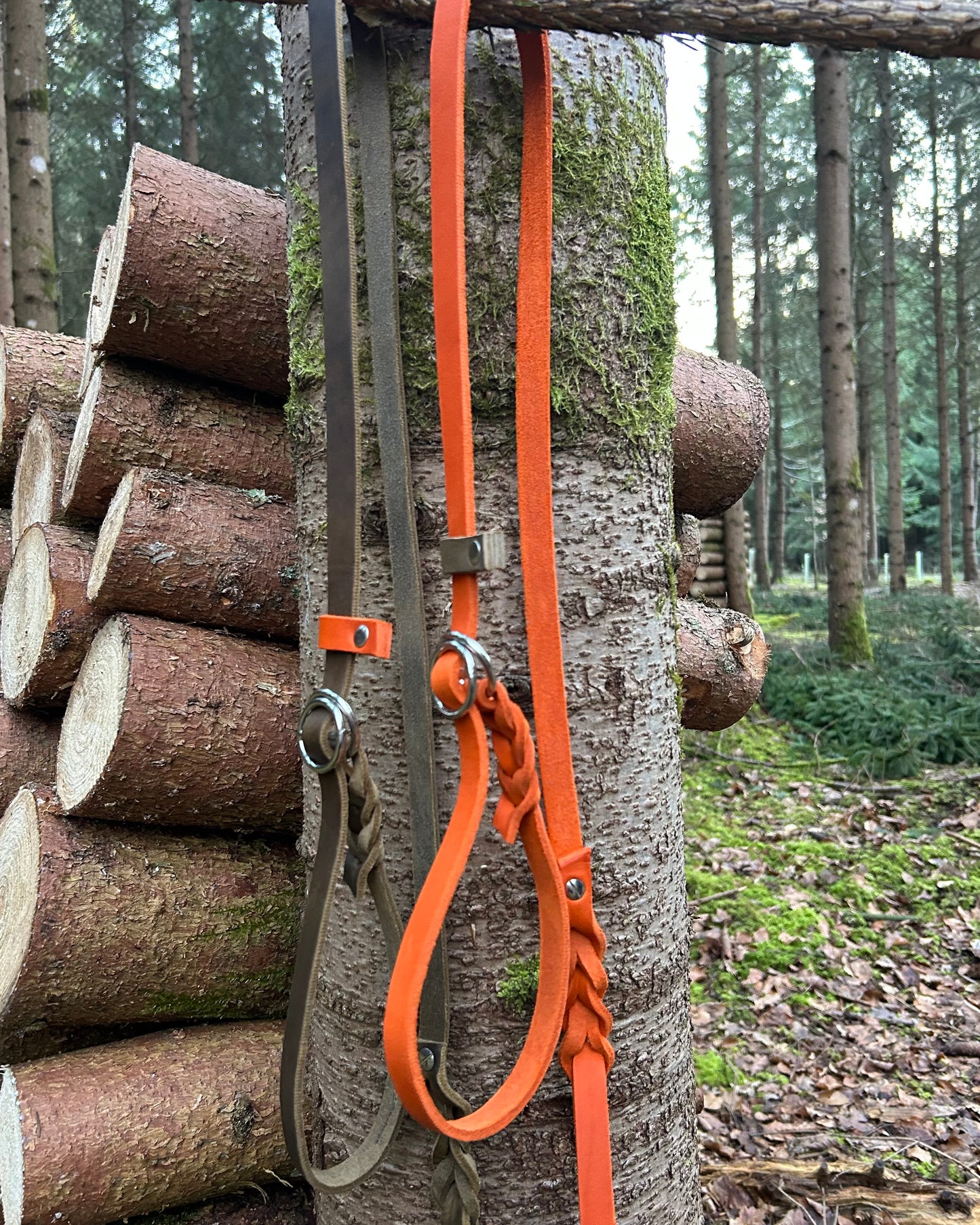 Retrieverleine aus Fettleder