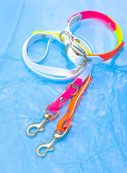 Biothane Halsband & Leinen Set Pina Colada