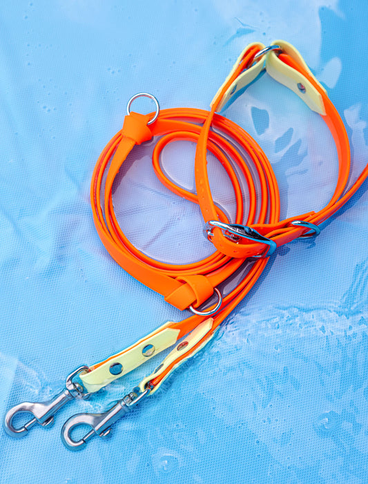 Biothane Halsband & Leinen Set Tequila Sunrise