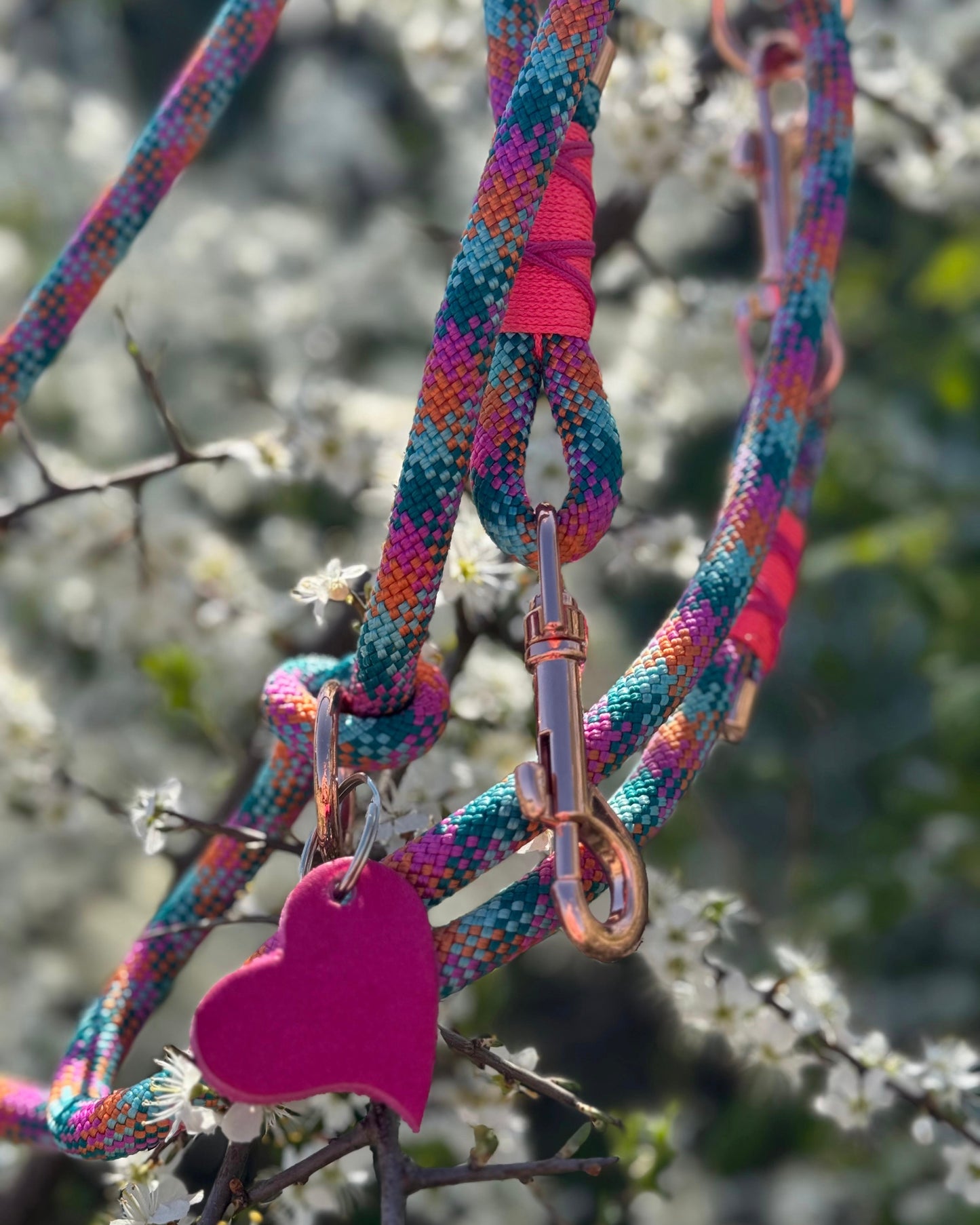 Hundeleine & Halsband Set aus Tau – bunt