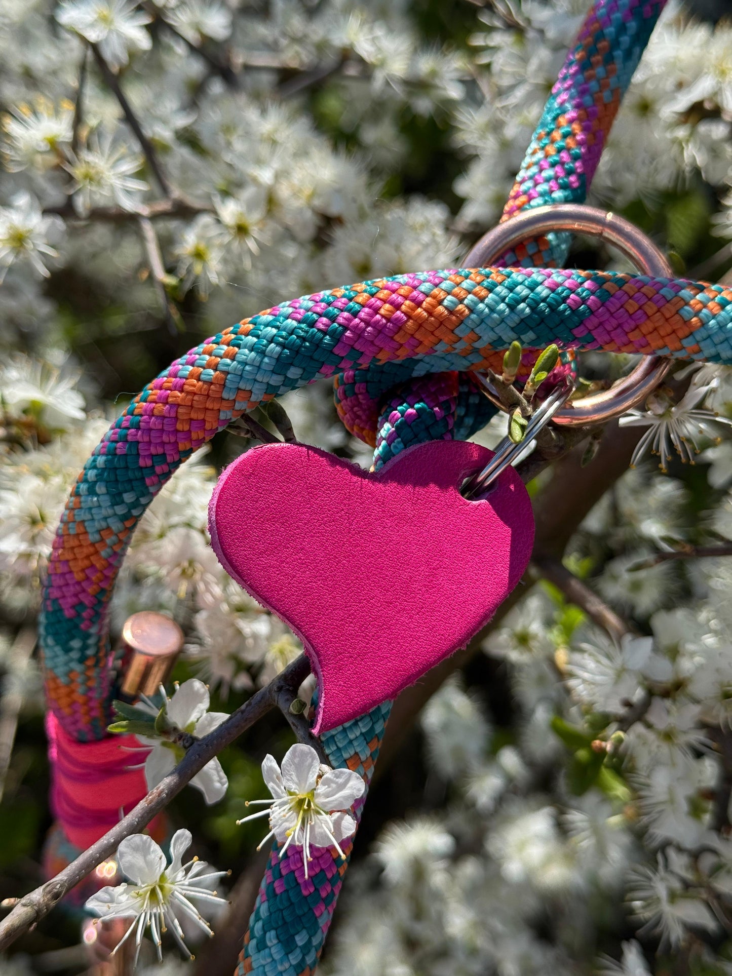 Hundeleine & Halsband Set aus Tau – bunt
