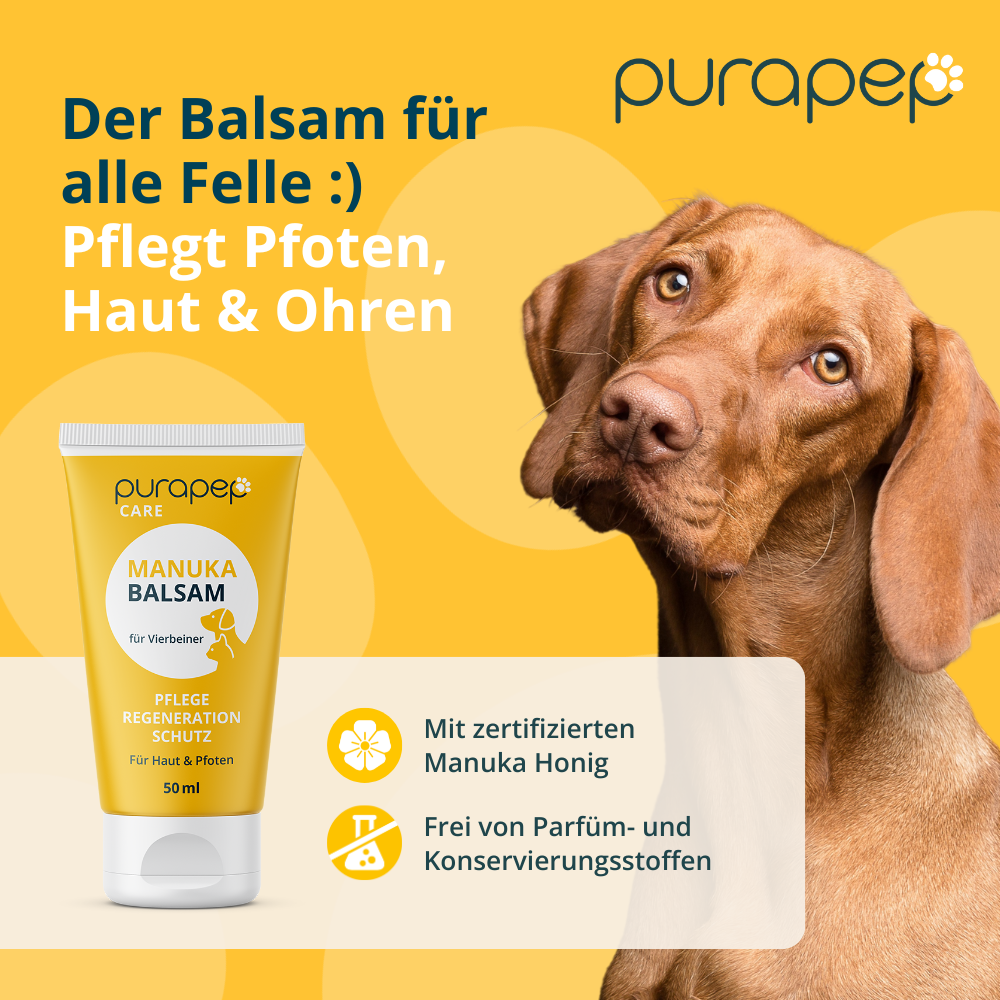 Manuka Balsam für Hunde & Katzen