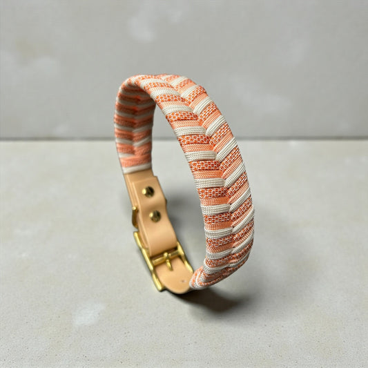 Paracord Hundehalsband mit BioThane® verstellbar