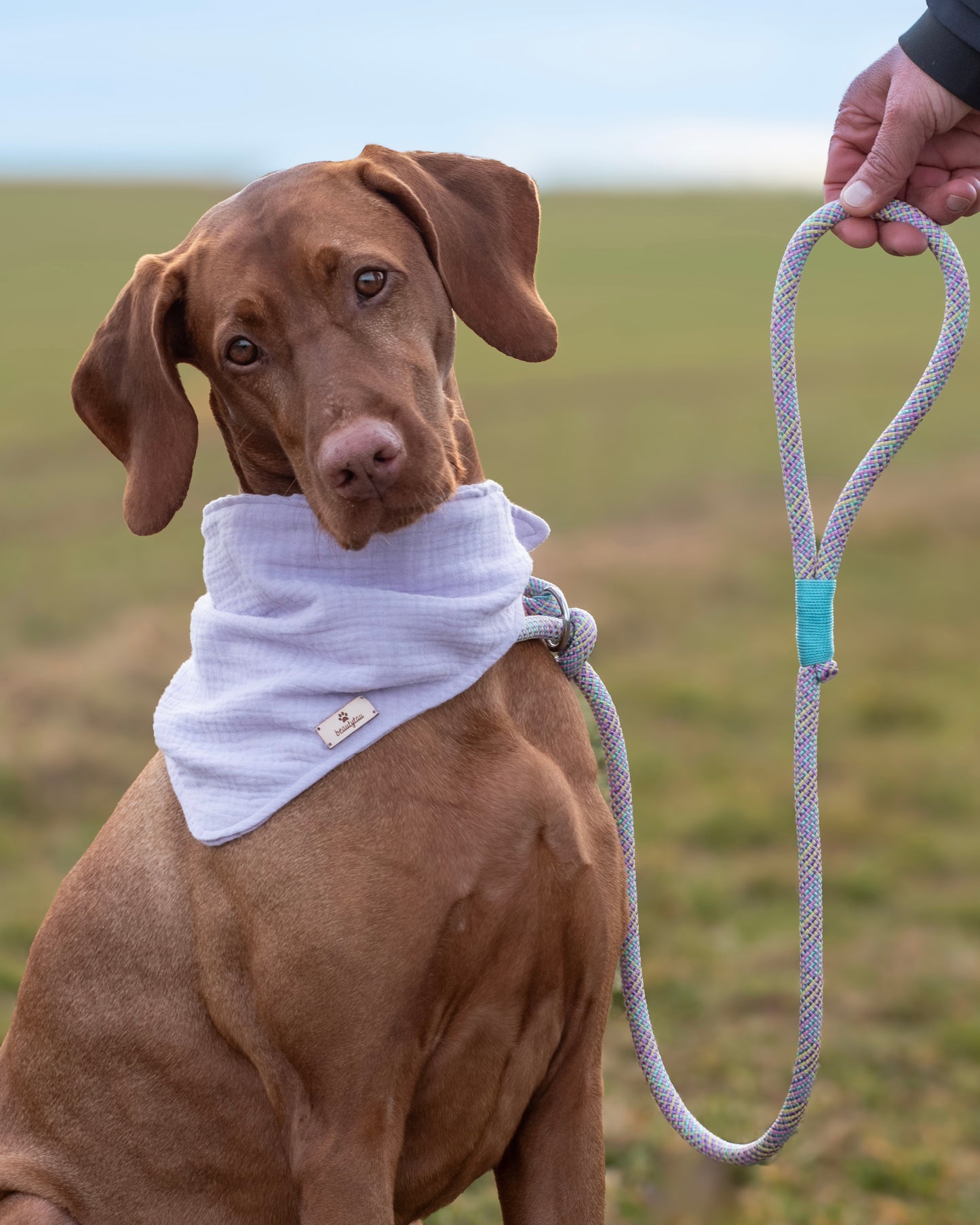 Retriever Hundeleine aus Tau