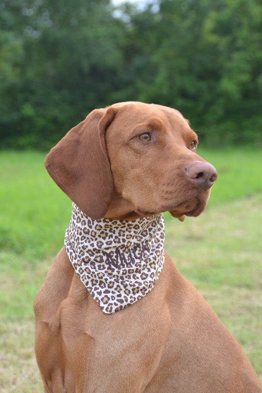 Hundehalstücher