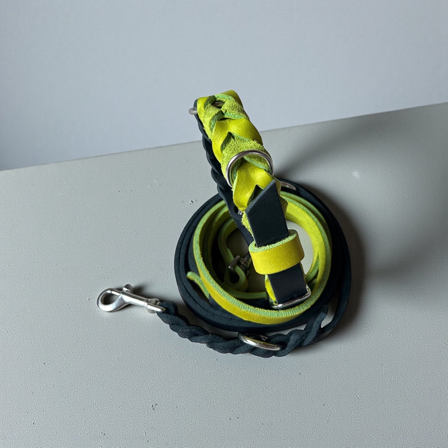 Color Twist Halsband und Leine aus zweifarbigem Fettleder Geflochten