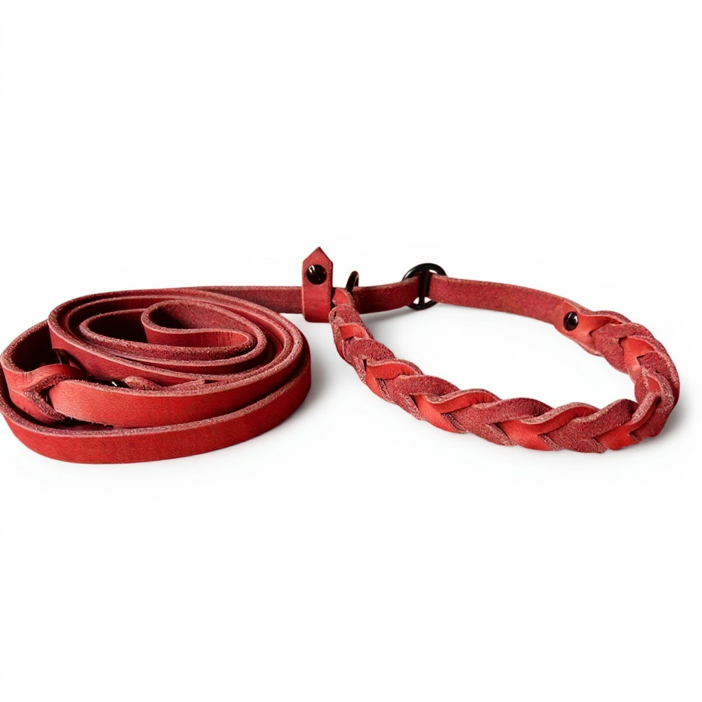 hands-free Reriever Leine aus Fettleder