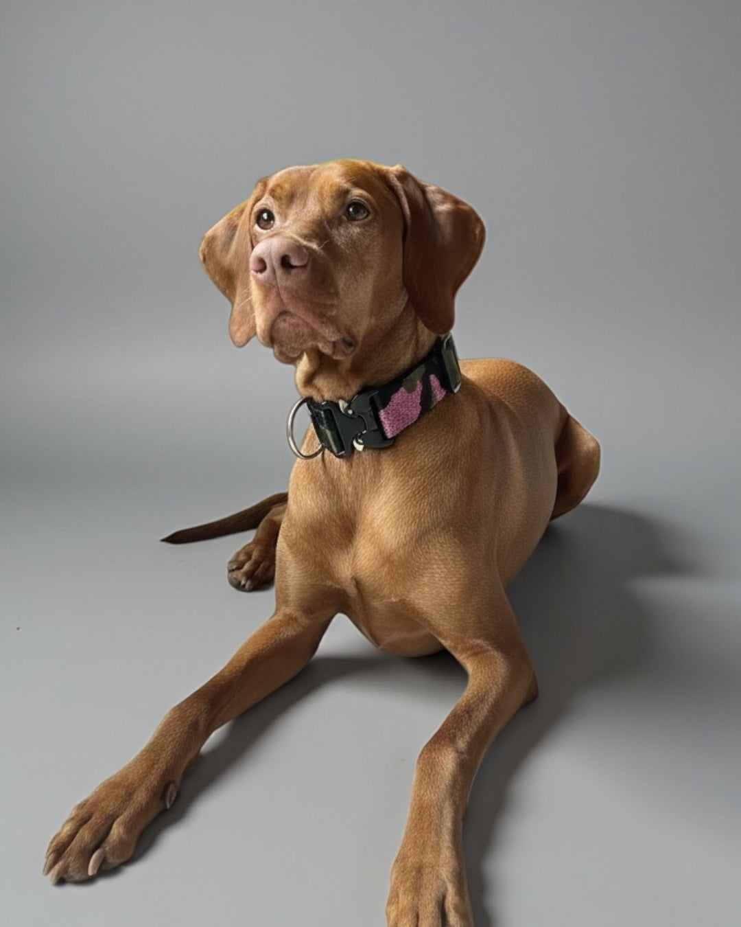 Hundehalsband Camouflage Rosa Olivgrün 5 cm breit