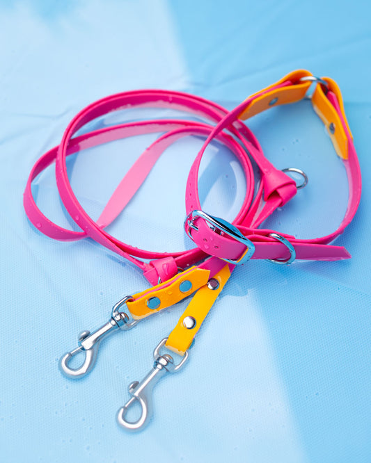 Biothane Halsband & Leinen Set Pink Passion