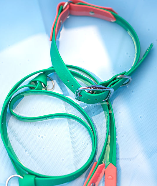 Biothane Halsband & Leinen Set Frozen Watermelon
