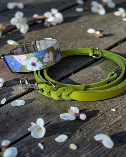 Hundehalsband Set mit Leine gepolstert verstellbar Blumen Design Fettleder Limette