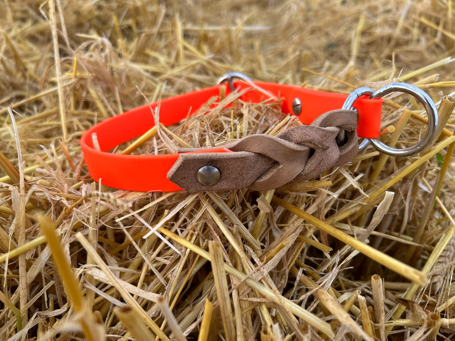 Zugstopp-Halsband aus Biothane und Fettleder