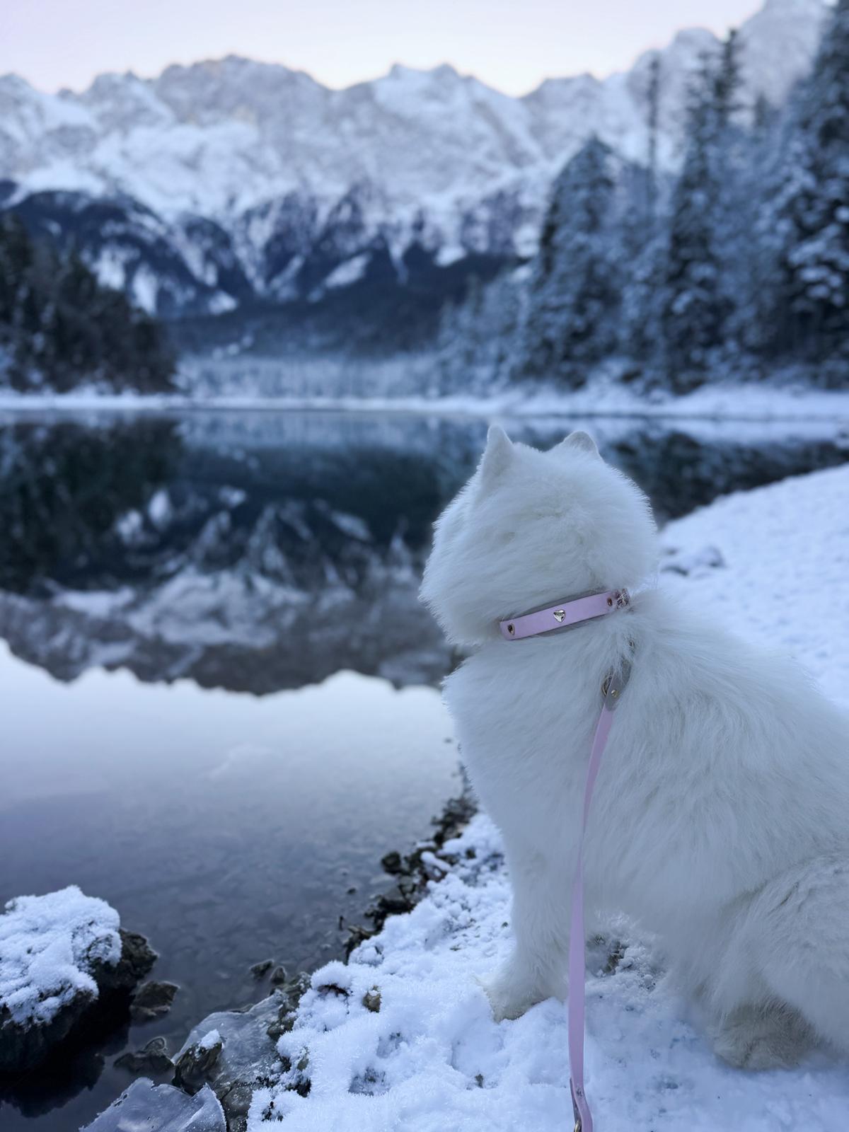 Halsband-Leinenset Blushed Heart