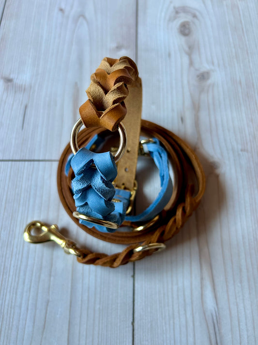 Color Twist Halsband und Leine aus zweifarbigem Fettleder Geflochten