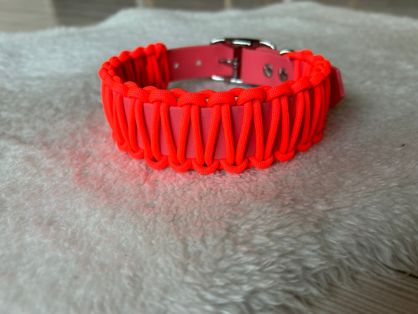 Halsband aus Biothane-Paracord