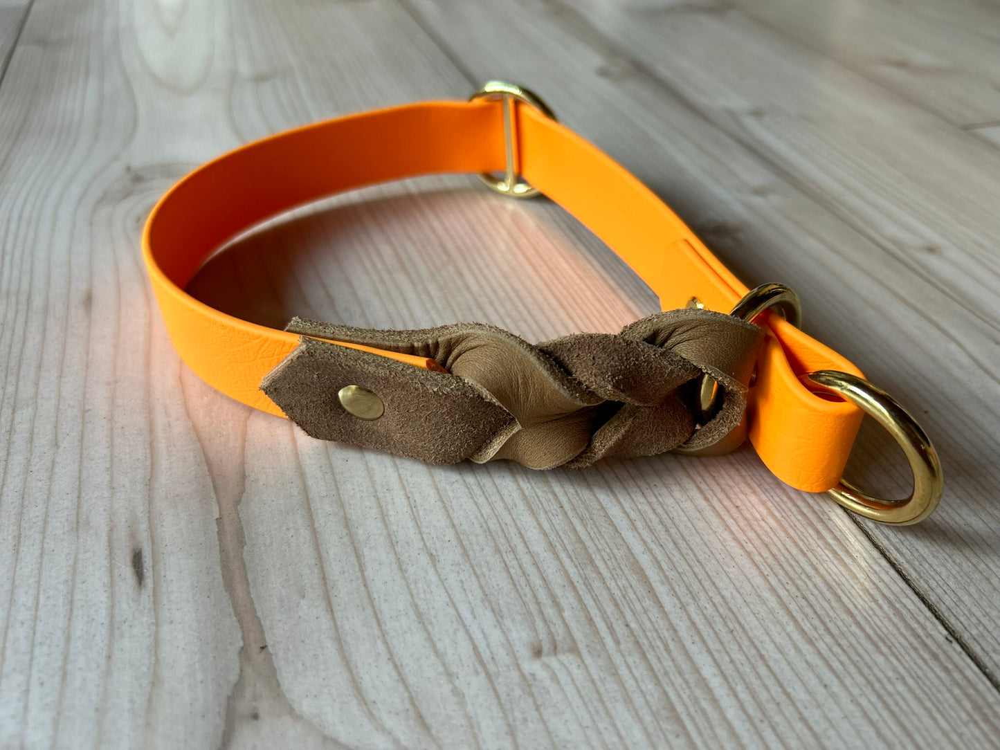 Biothane trifft Leder Zugstopp-Halsband mit Kurzführer
