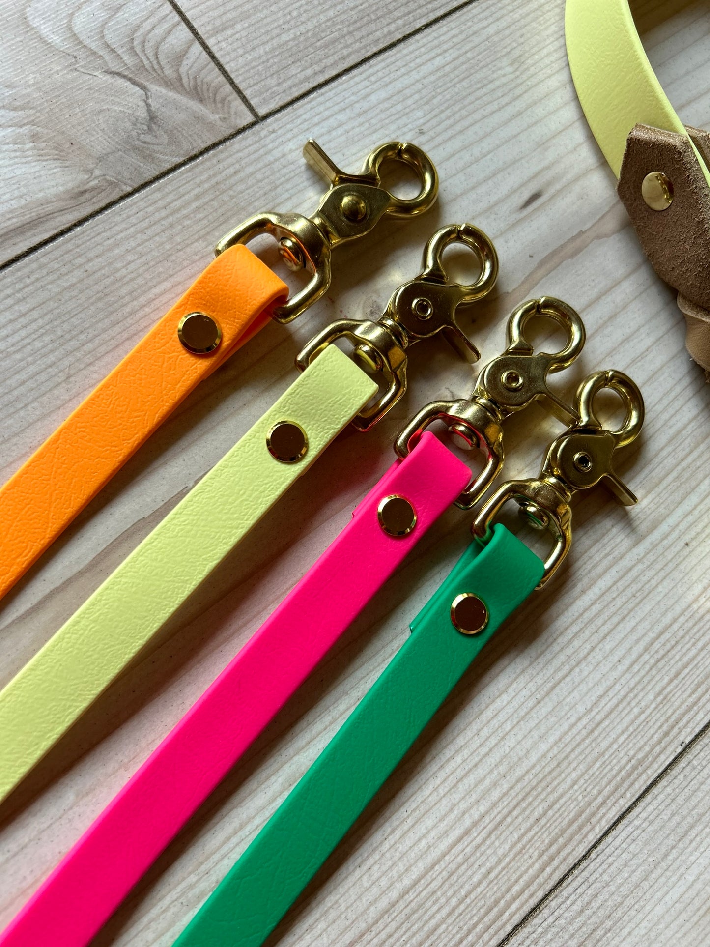 Biothane trifft Leder Zugstopp-Halsband mit Kurzführer