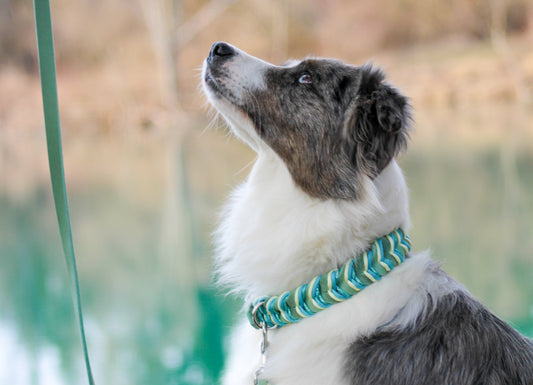 Dein individuelles Fettleder/Paracordset