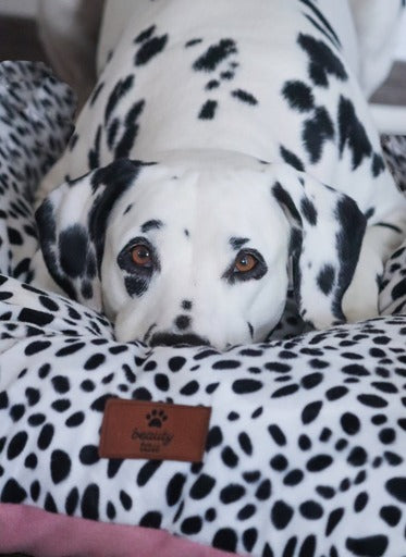 Kuschelige Hundekissen