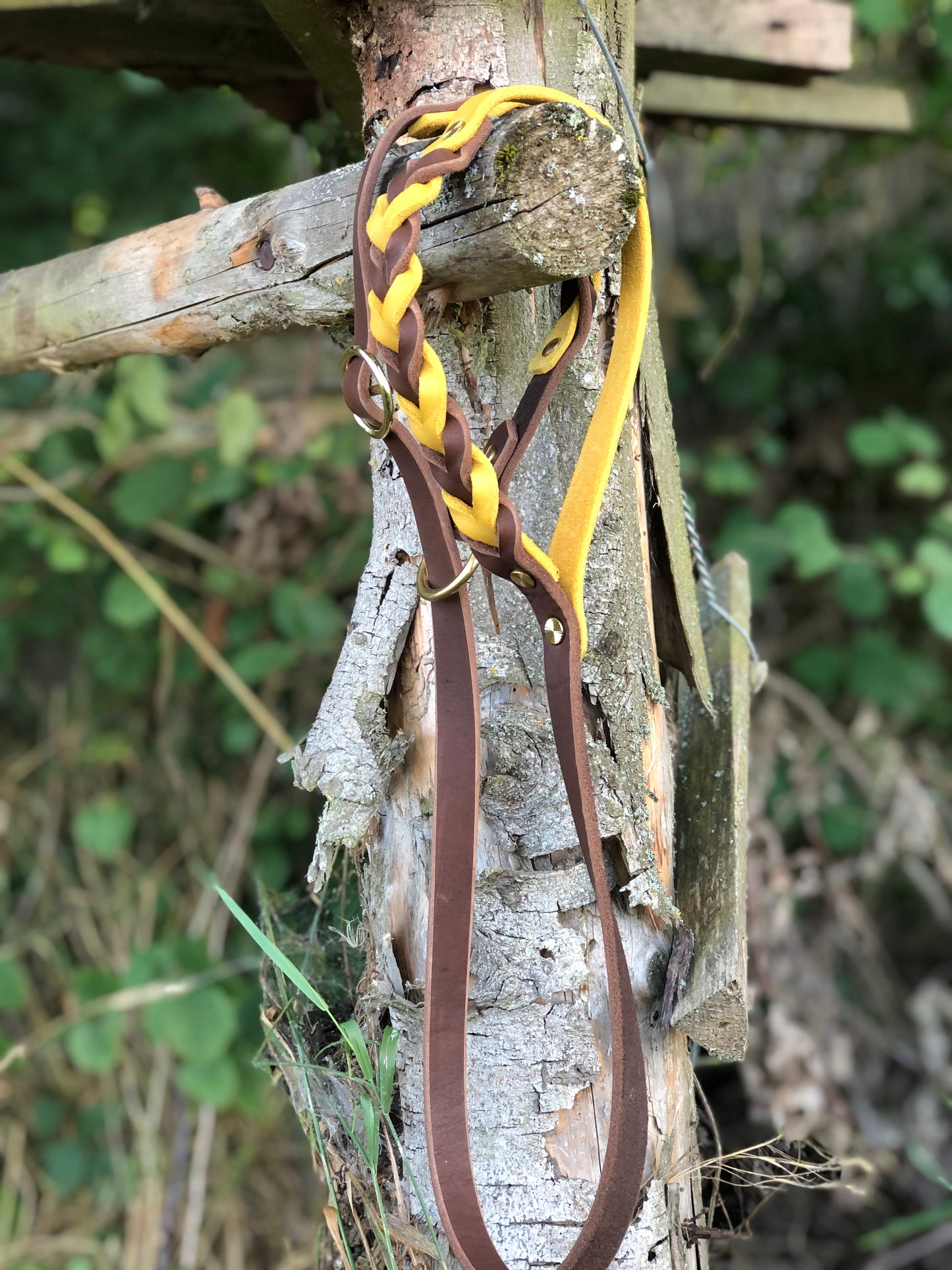 Retrieverleine aus Fettleder Dunkelbraun/Curry mit Messingbeschlägen