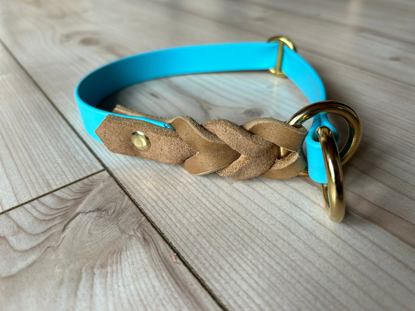 Zugstopp-Halsband aus Biothane und Fettleder