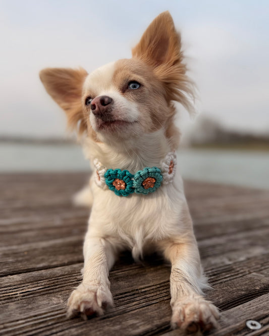 Hundehalsband aus Paracord