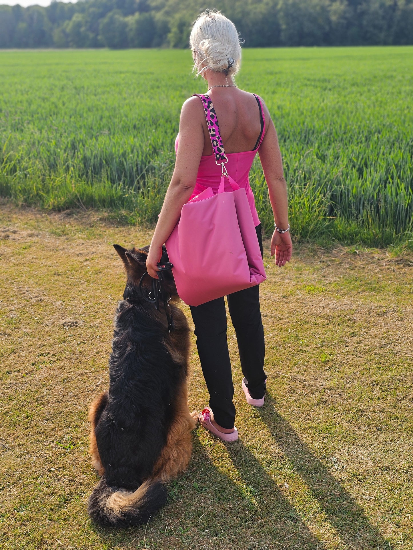 Hundedecke to Go