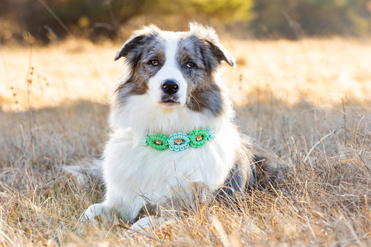 Blumen - Traumhalsband - Beautytau Shop