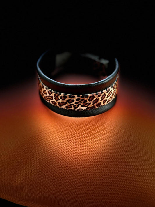 SoftGuard Halsband und Leine mit bedruckter Biothane