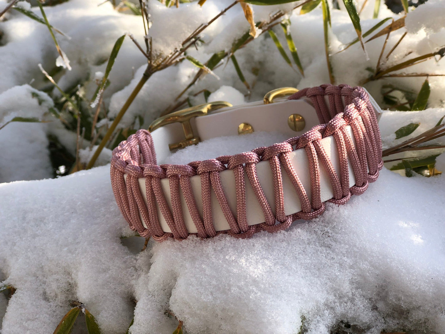 Halsband - Leinenset aus Biothane & Paracord - Beautytau Shop