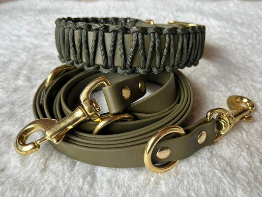 Halsband - Leinenset aus Biothane & Paracord - Beautytau Shop