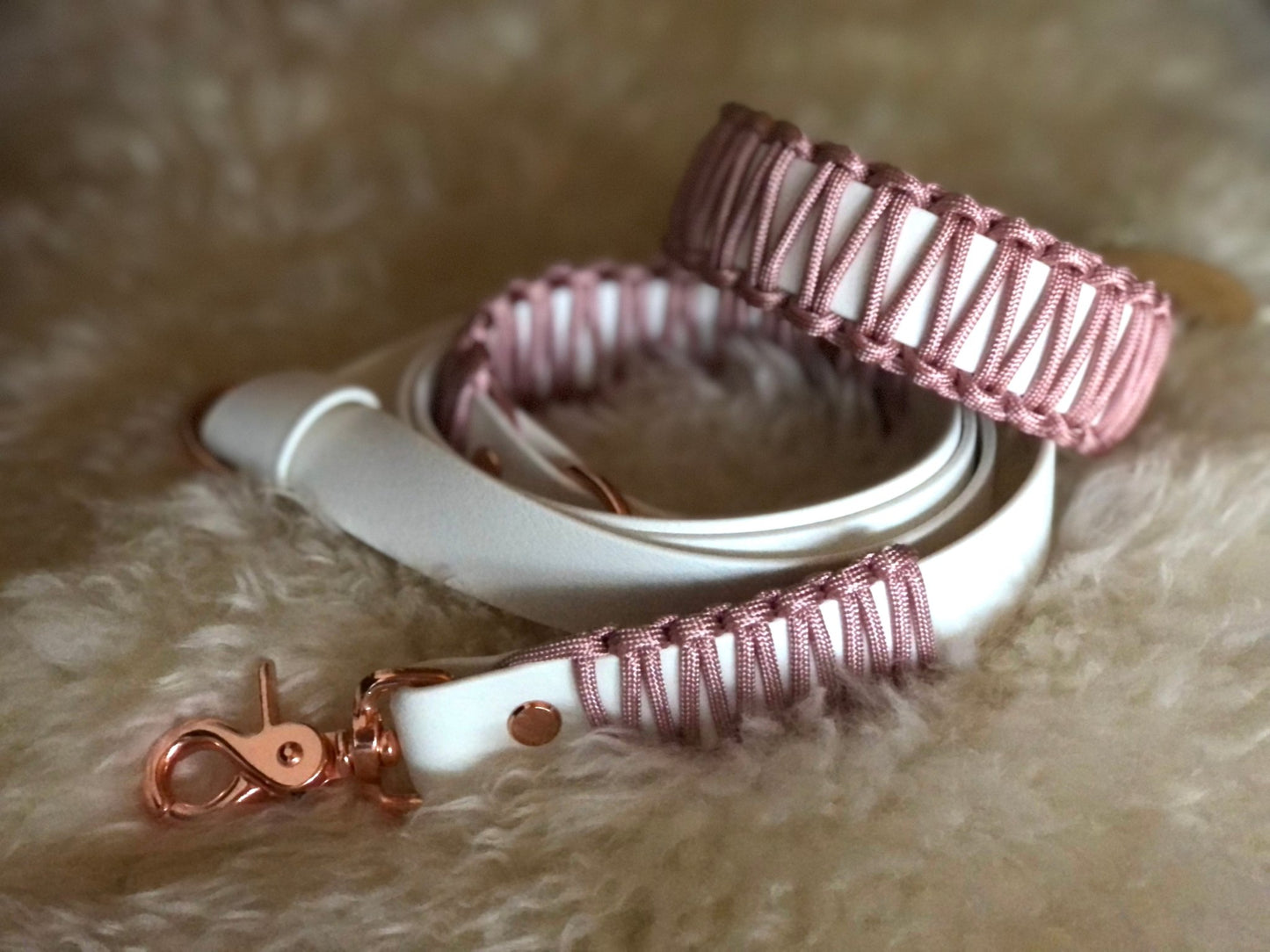 Halsband - Leinenset aus Biothane & Paracord - Beautytau Shop