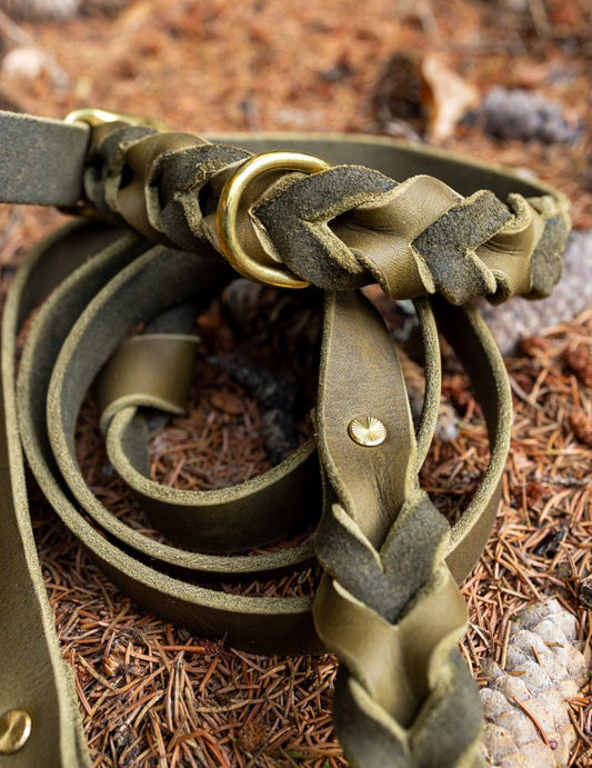 Hundehalsband und Hundeleine autumn beauty - Beautytau Shop